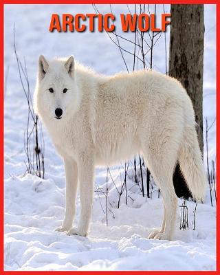 Book cover for Arctic wolf