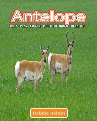 Book cover for Antelope