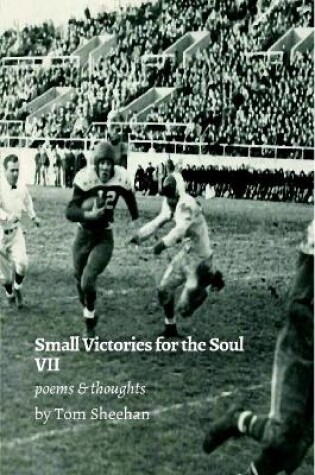 Cover of Small Victories for the Soul VII