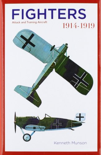 Book cover for Fighters 1914-1919