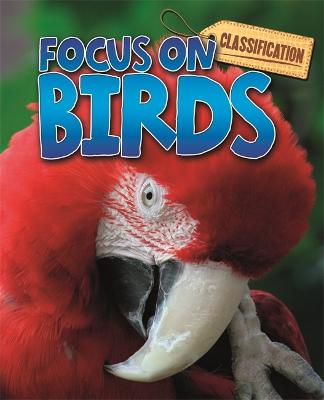 Book cover for Classification: Focus on: Birds