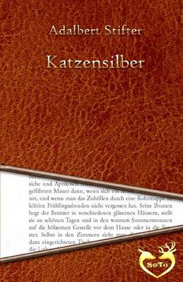 Book cover for Katzensilber