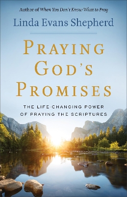 Book cover for Praying God's Promises