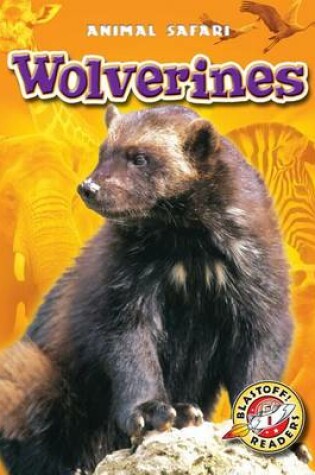 Cover of Wolverines