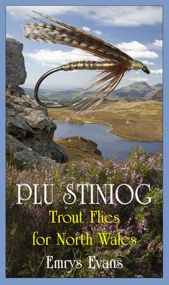 Book cover for Plu Stiniog