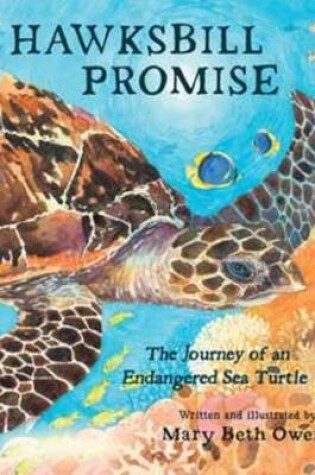 Cover of Hawksbill Promise