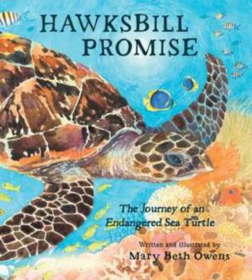 Book cover for Hawksbill Promise