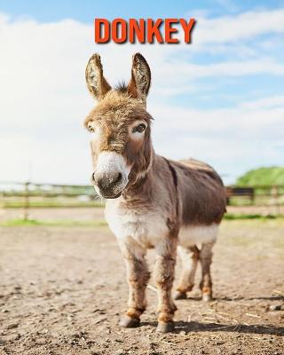 Book cover for Donkey