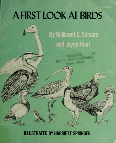 Cover of 1st Look Birds