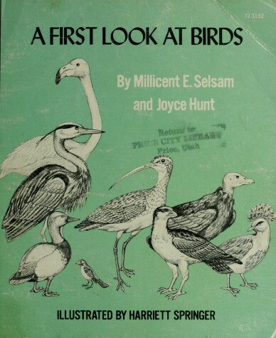 Book cover for 1st Look Birds