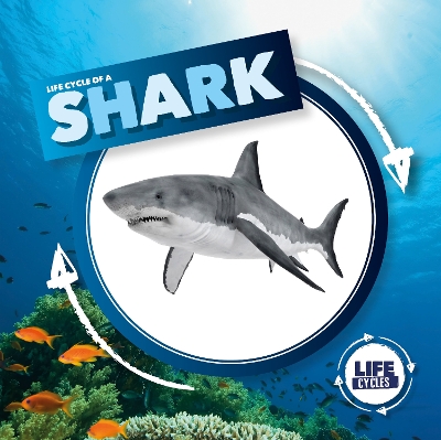 Cover of Life Cycle of a Shark