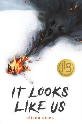 Book cover for It Looks Like Us