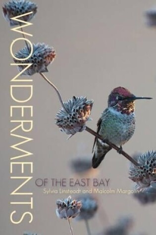 Cover of Wonderments of the East Bay