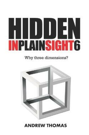 Cover of Hidden In Plain Sight 6