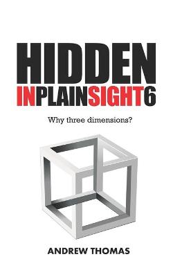 Cover of Hidden In Plain Sight 6