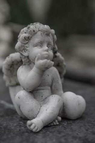 Cover of Stone Cherub Statue Journal