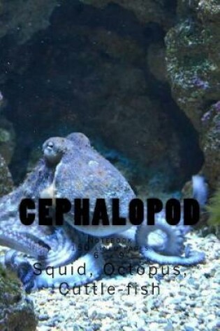 Cover of Cephalopod