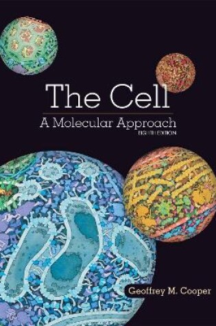 Cover of The Cell