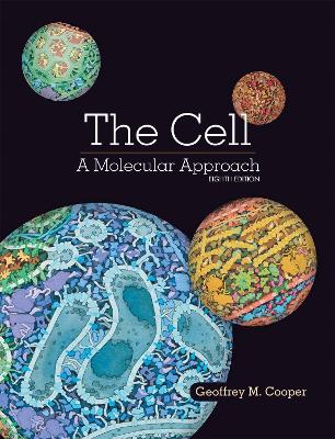 Book cover for The Cell