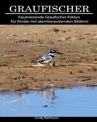 Book cover for Graufischer