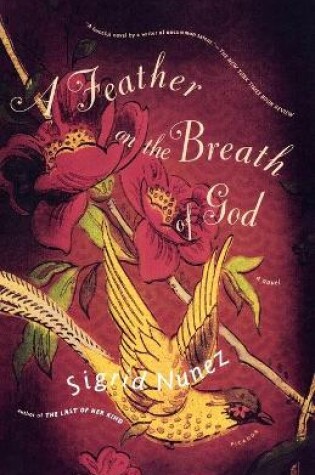 Cover of A Feather on the Breath of God