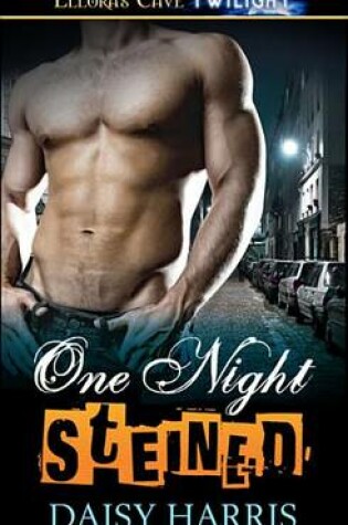 Cover of One Night Steined