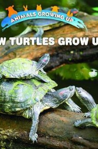 Cover of How Turtles Grow Up