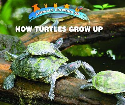 Book cover for How Turtles Grow Up