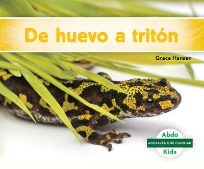 Cover of de Huevo a Tritón (Becoming a Newt)