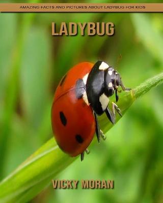 Book cover for Ladybug
