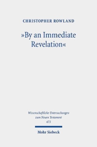 Cover of "By an Immediate Revelation"