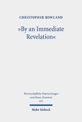 Cover of "By an Immediate Revelation"