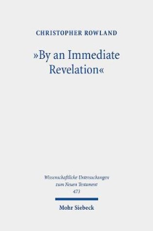 Cover of "By an Immediate Revelation"