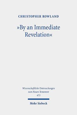 Cover of "By an Immediate Revelation"