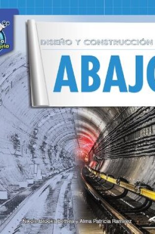 Cover of Dise�o Y Construcci�n Hacia Abajo