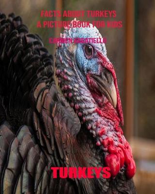 Book cover for Facts About Turkeys A Picture Book For Kids