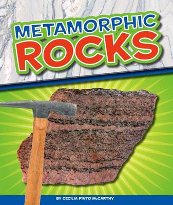 Book cover for Metamorphic Rocks