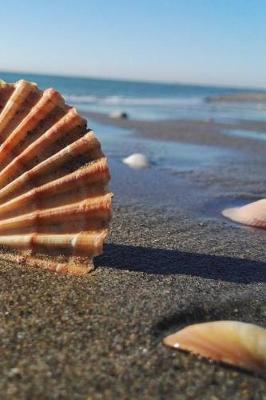 Book cover for Beach Shells Notebook