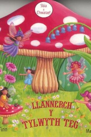 Cover of Llannerch y Tylwyth Teg