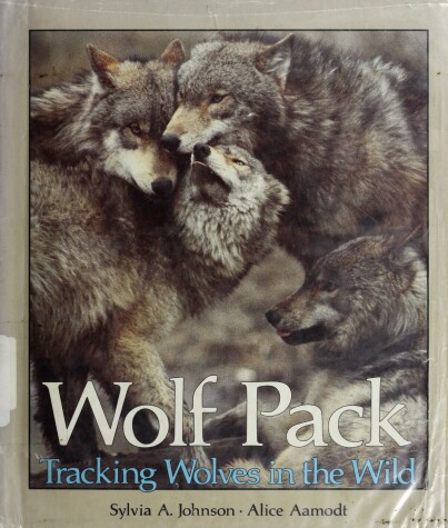 Book cover for Wolf Pack Tracking Wolves Hb