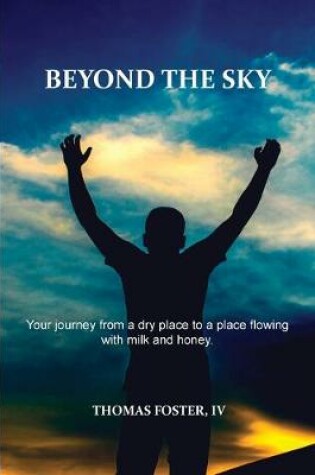 Cover of Beyond the Sky