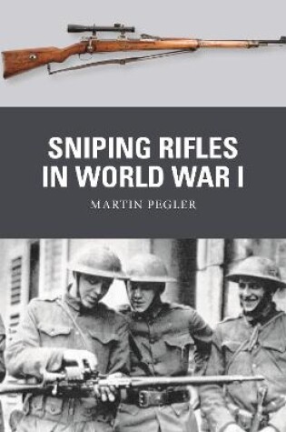 Cover of Sniping Rifles in World War I