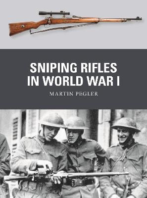 Cover of Sniping Rifles in World War I