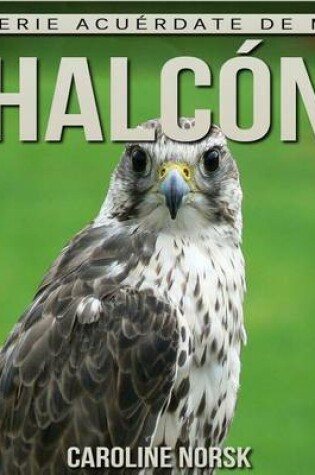 Cover of Halcon