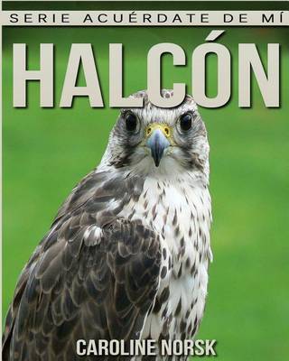 Book cover for Halcon