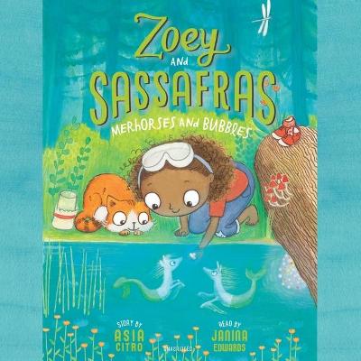 Book cover for Zoey and Sassafras: Merhorses and Bubbles