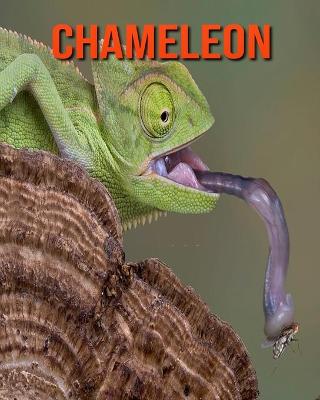 Book cover for Chameleon