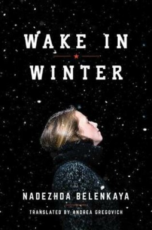 Cover of Wake in Winter