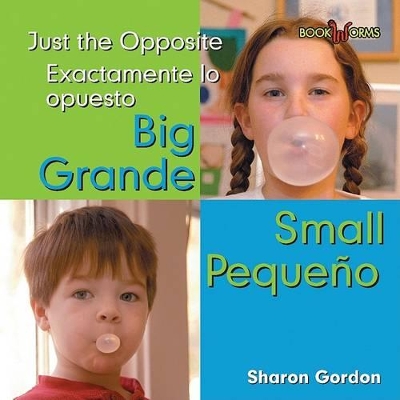 Book cover for Grande, Pequeno / Big, Small