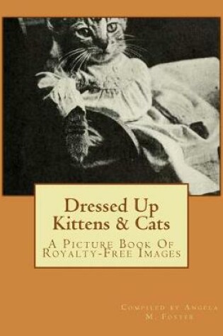Cover of Dressed Up Kittens & Cats
